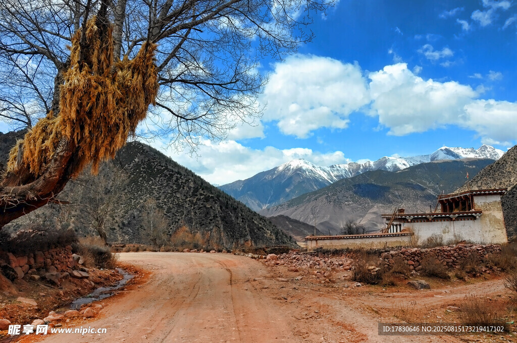 山間土路旁的壯麗風(fēng)景