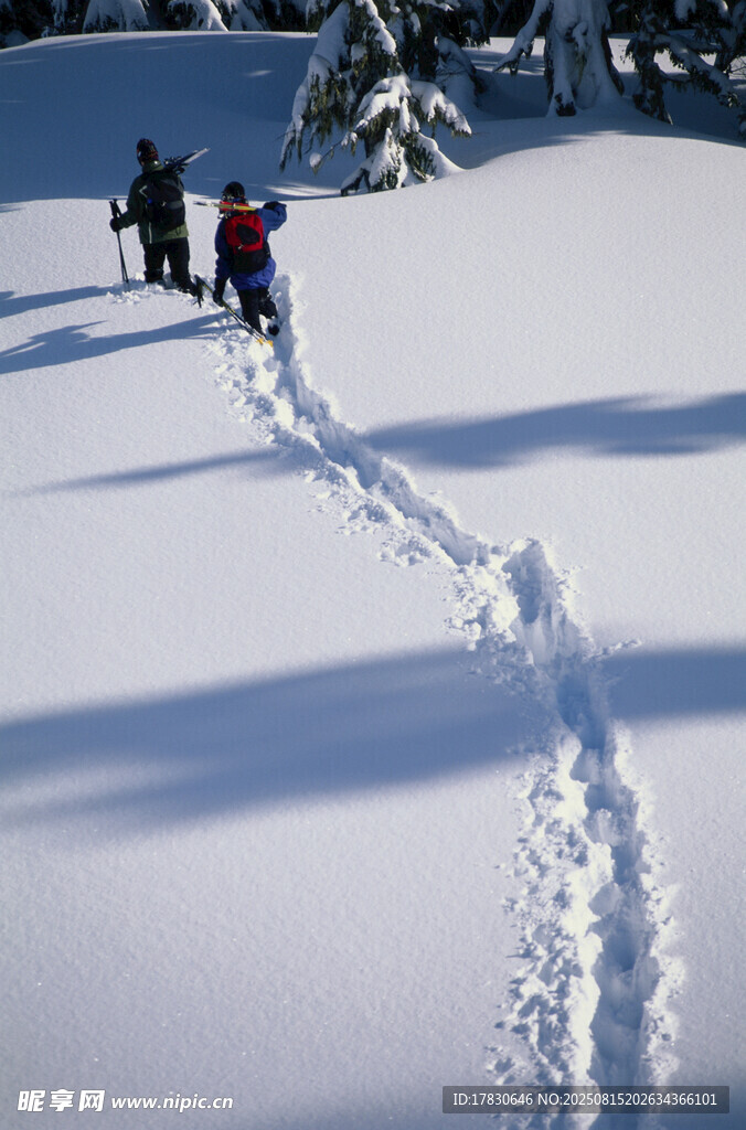 雪地中人們留下串串腳印
