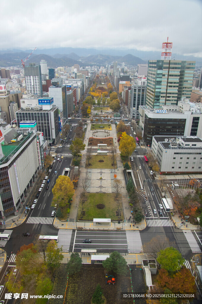 城市秋日俯瞰街道景觀