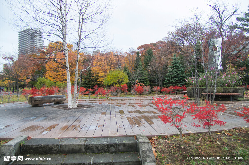 秋日公園景觀
