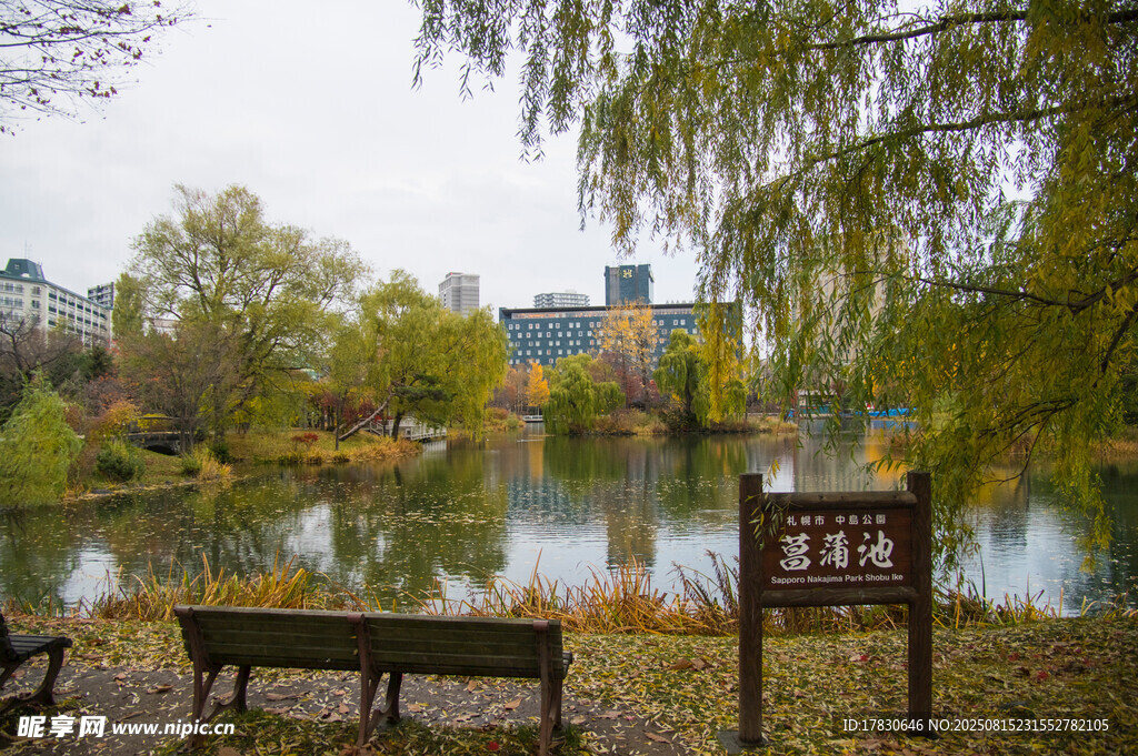 湖畔秋景長(zhǎng)椅伴垂柳