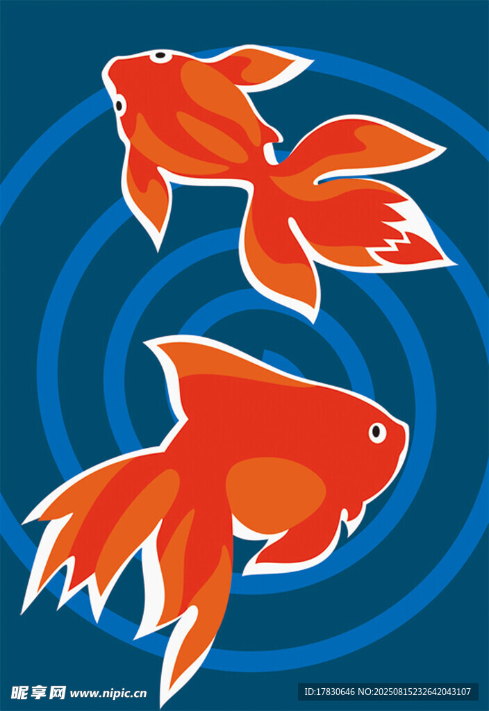 兩條游動的橙色金魚