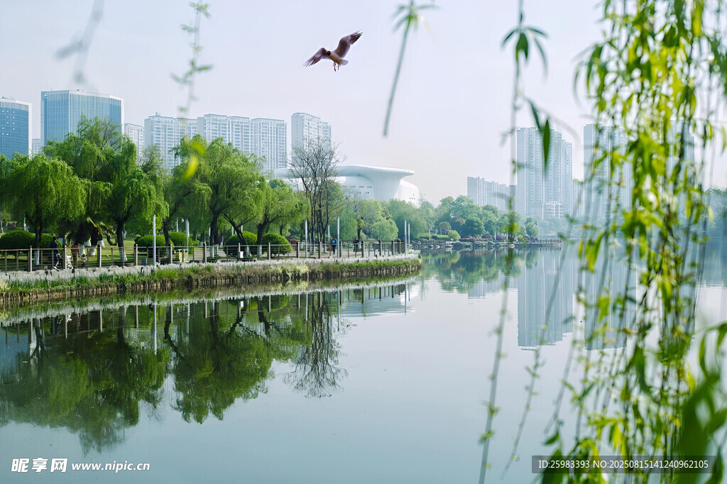 湖畔公園