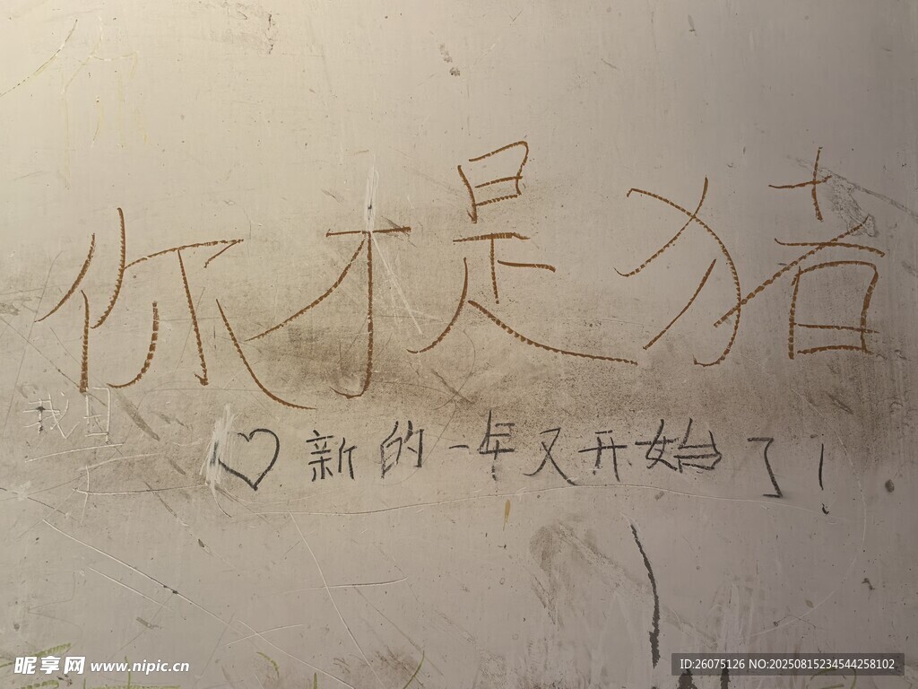 墻面手寫你才是豬文字圖片