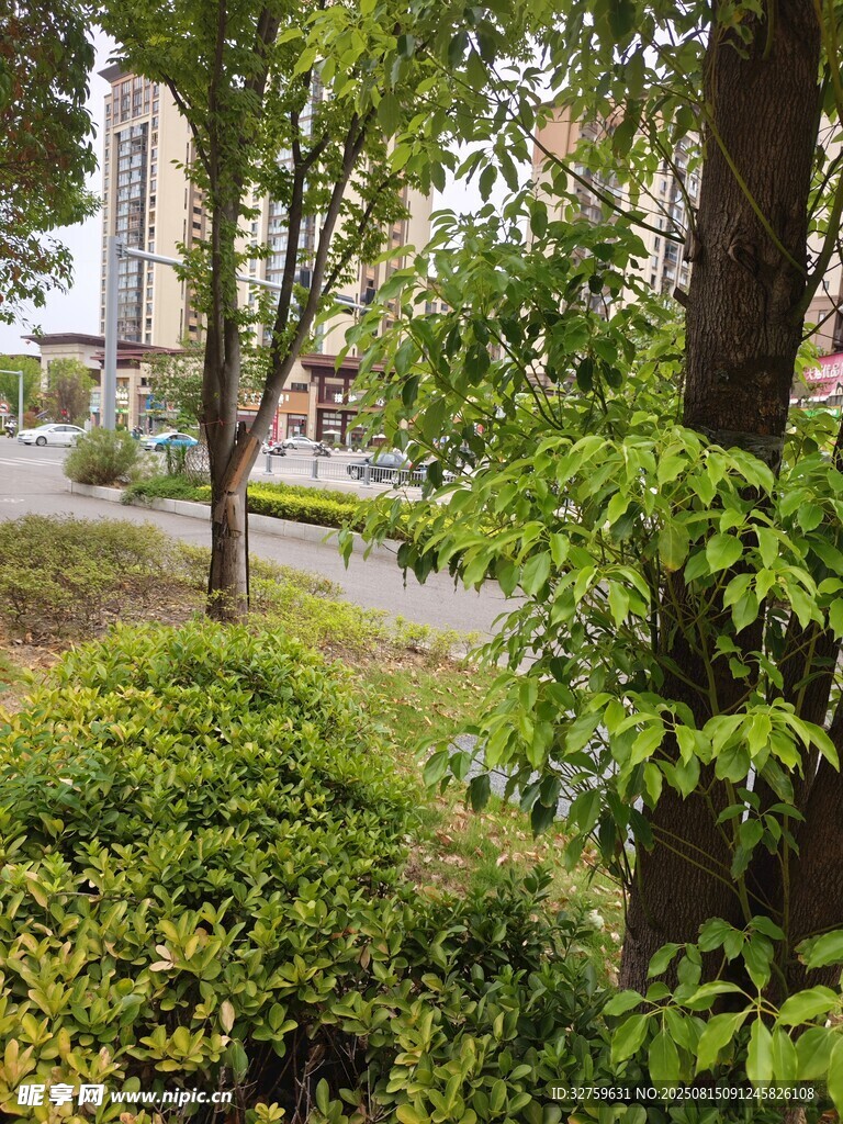 小區(qū)綠意盎然的綠化景觀