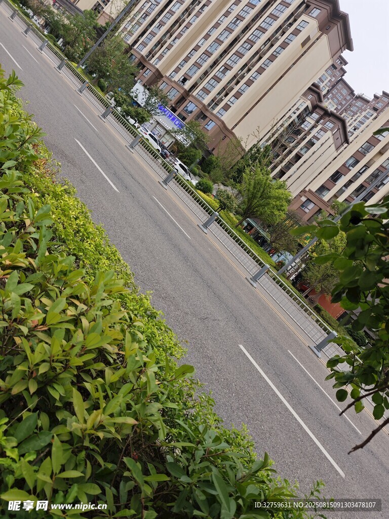 小區(qū)道路旁的綠植景觀