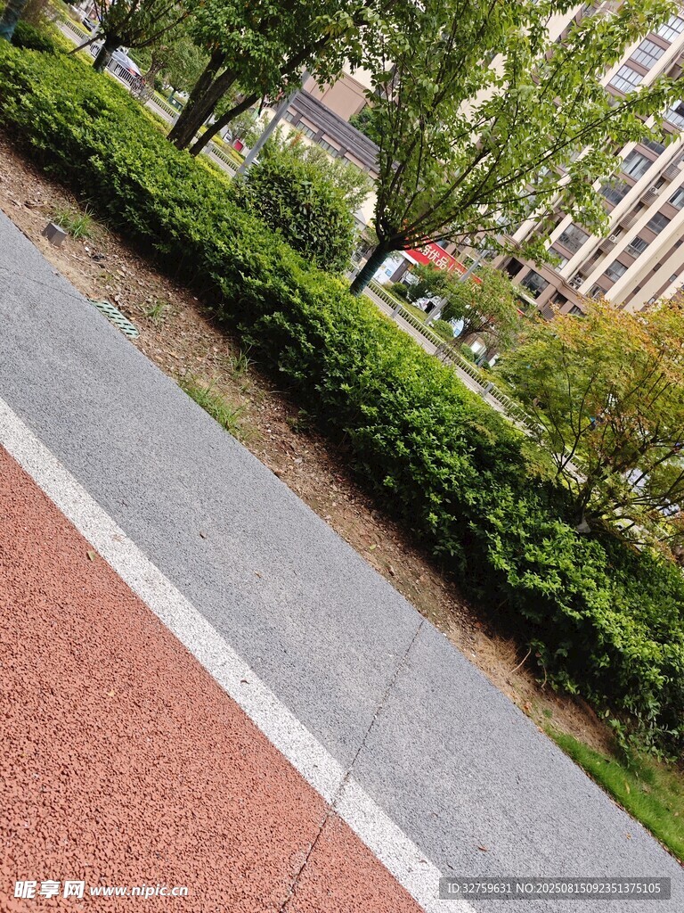 城市路邊綠化帶景觀