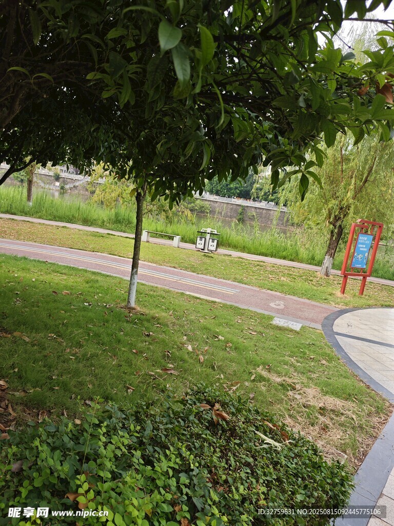 公園綠意小徑景觀