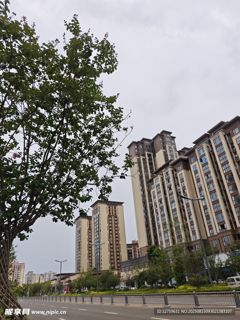 城市中高樓旁的綠樹景觀