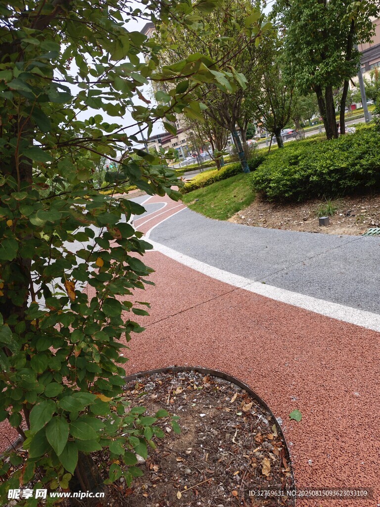 公園中的紅色步道景觀
