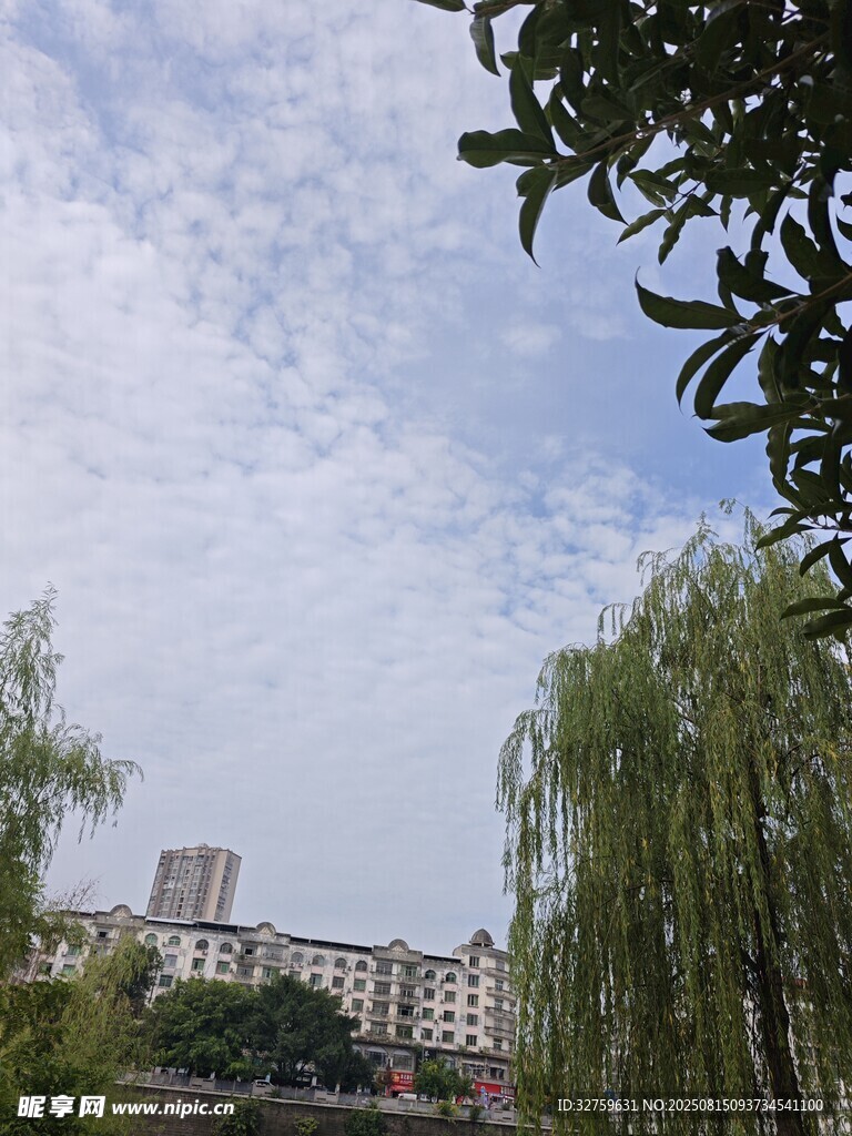 城市中垂柳與藍(lán)天白云