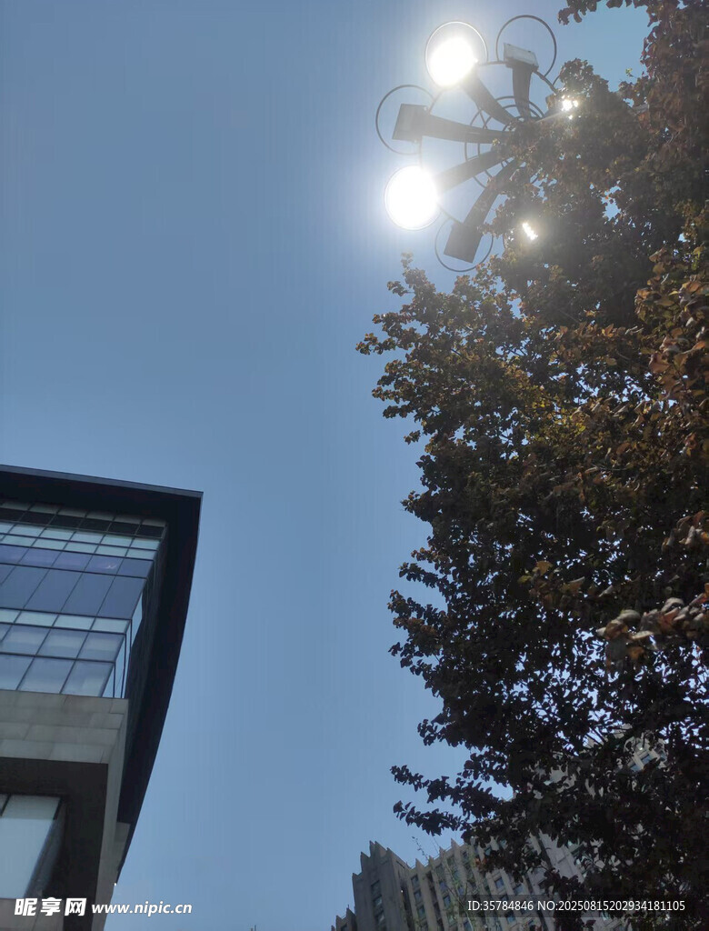 陽光下的建筑與樹木