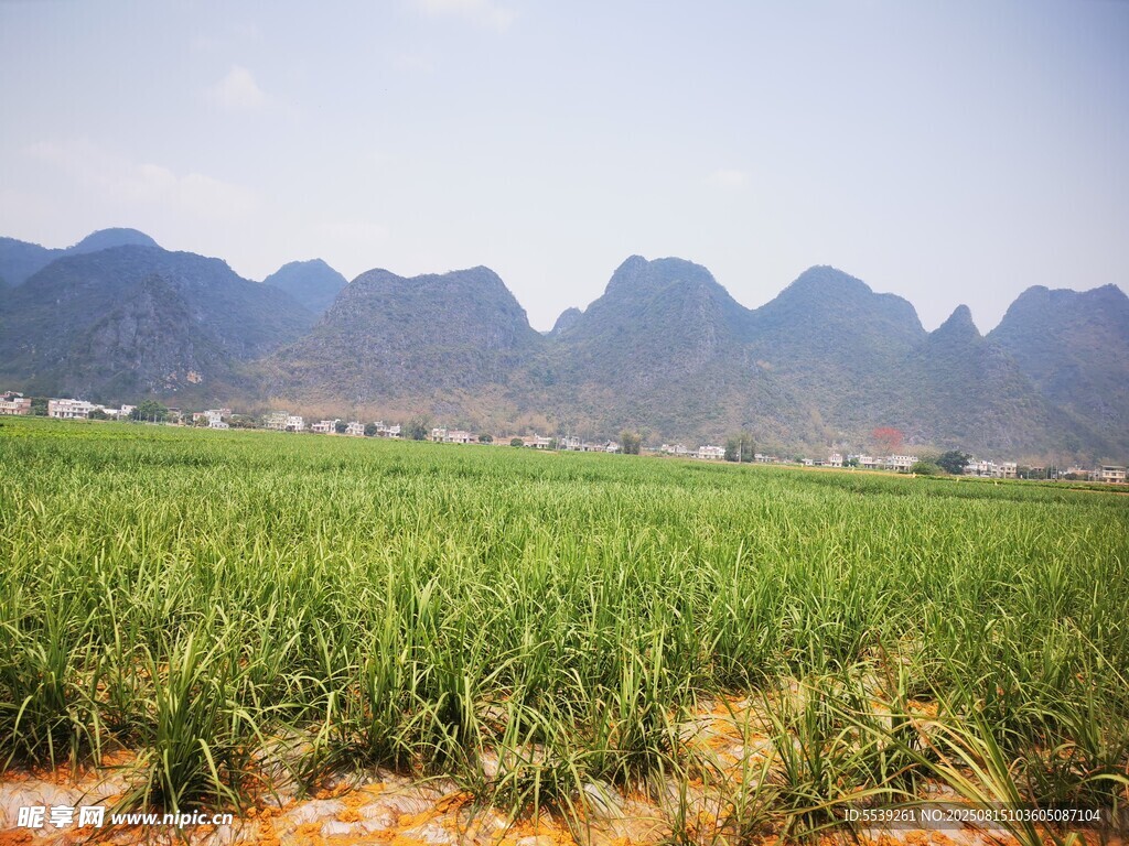 遠(yuǎn)山近綠