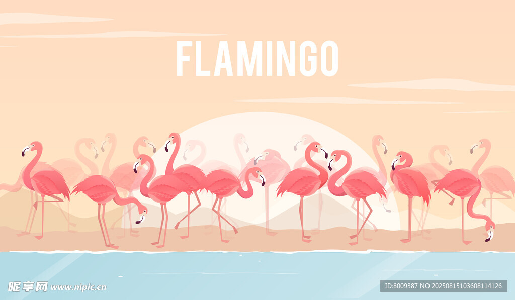 海灘上的火烈鳥(niǎo)群