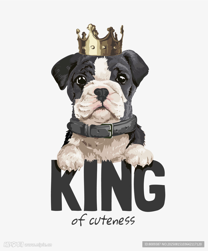 戴著皇冠的霸氣斗牛犬