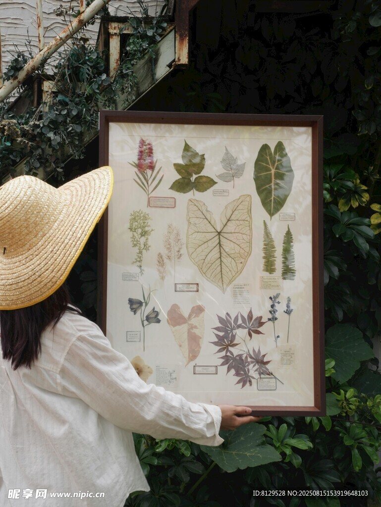 女子賞植物標(biāo)本畫