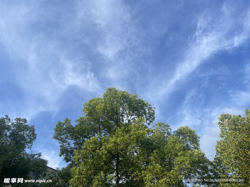 藍天綠樹美景