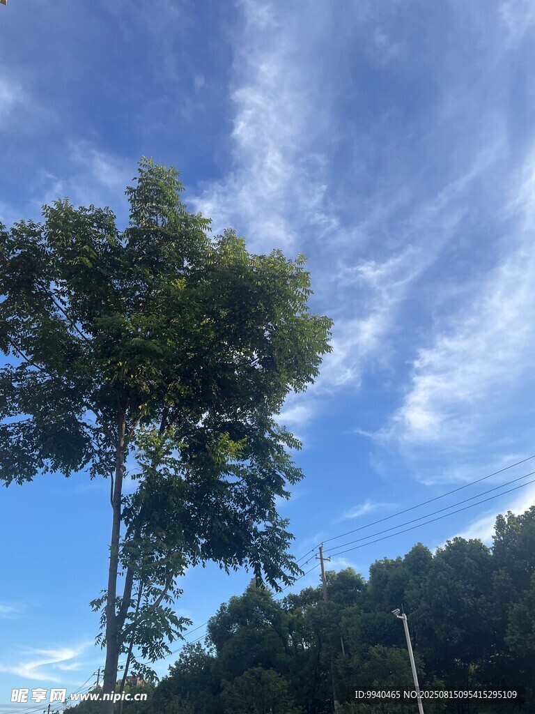 藍(lán)天綠樹自然風(fēng)光圖