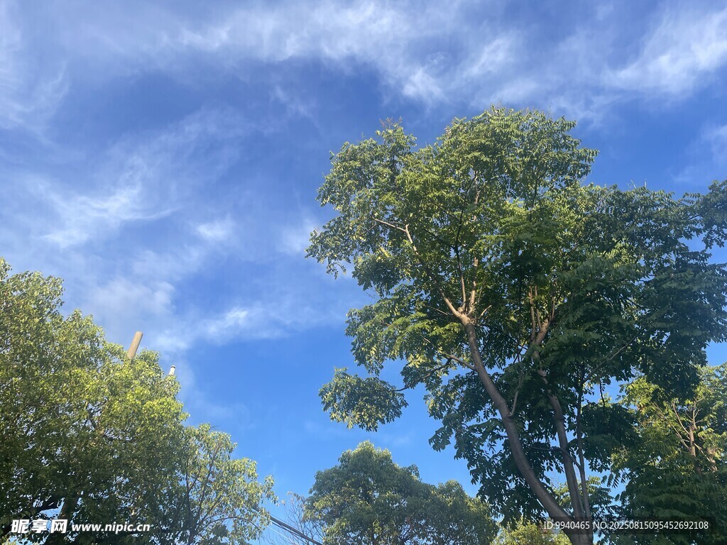 藍天綠樹風(fēng)景圖