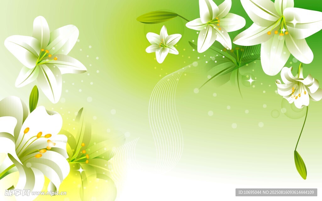 清新百合花卉背景圖