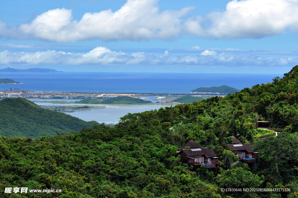 俯瞰蔥郁山林與遼闊海景