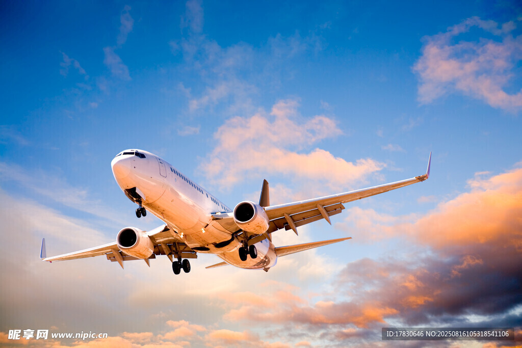 飛機翱翔于絢麗天空