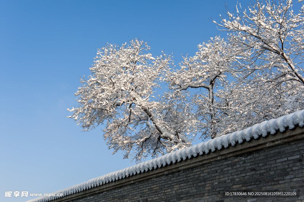 雪覆樹(shù)木映古墻
