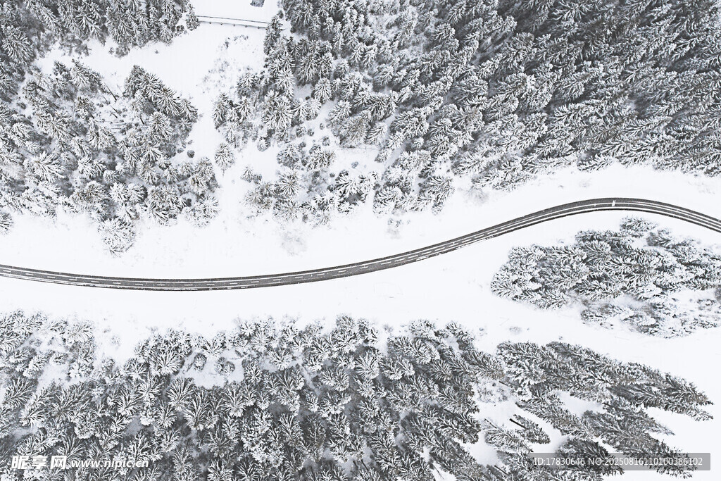 冬日雪覆山林間蜿蜒公路