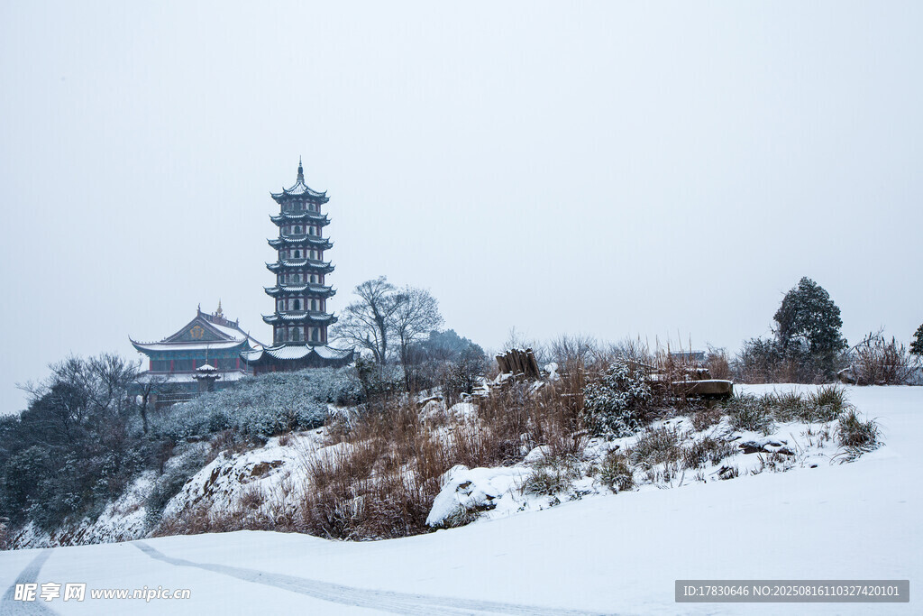 雪覆古塔景