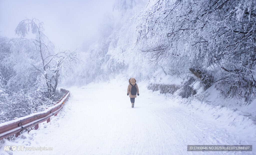 雪中小徑上的獨(dú)行者