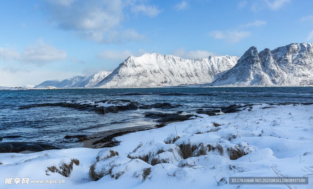冬日海岸雪山壯麗景觀