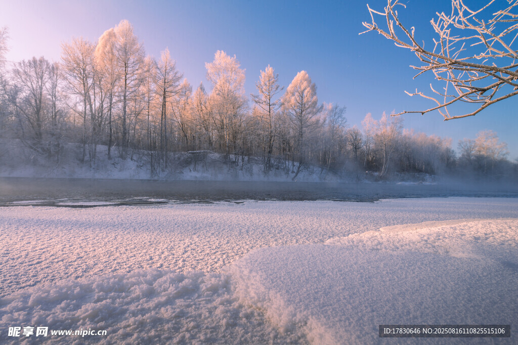 冬日雪林美景