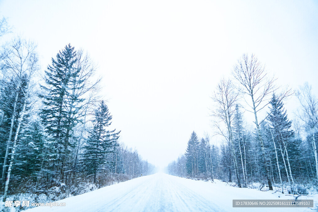 冬日雪景中的林間道路
