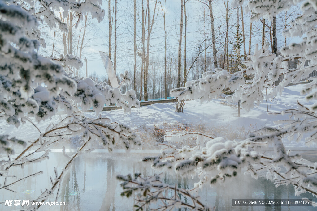 冬日雪覆森林靜謐湖景