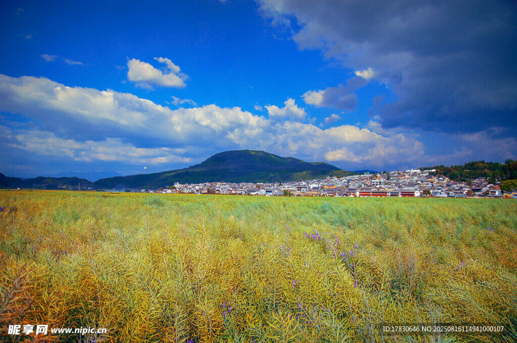 草原風光與遠處城鎮(zhèn)遠景