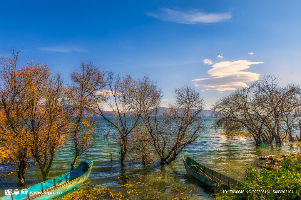 秋日湖畔美景