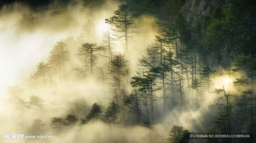 云霧繚繞中的山林美景