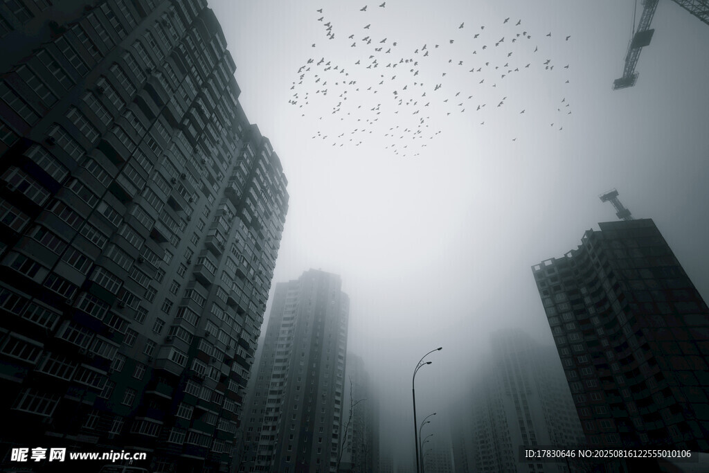 霧中都市高樓景象