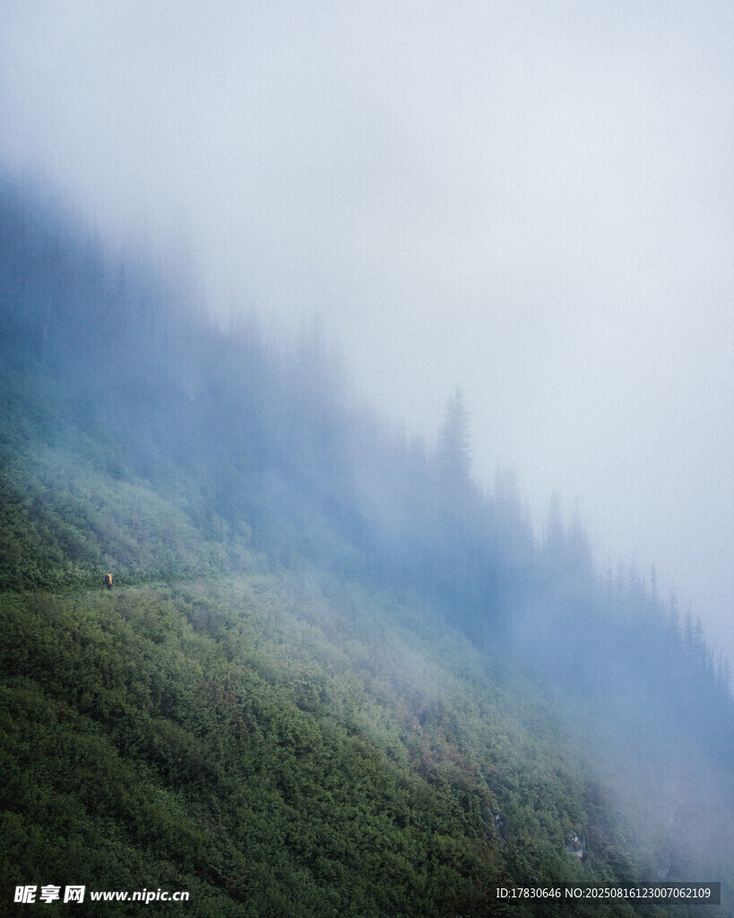 山間云霧繚繞的翠綠景致