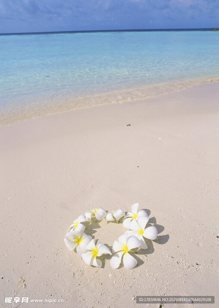 海灘上的雞蛋花花環(huán)