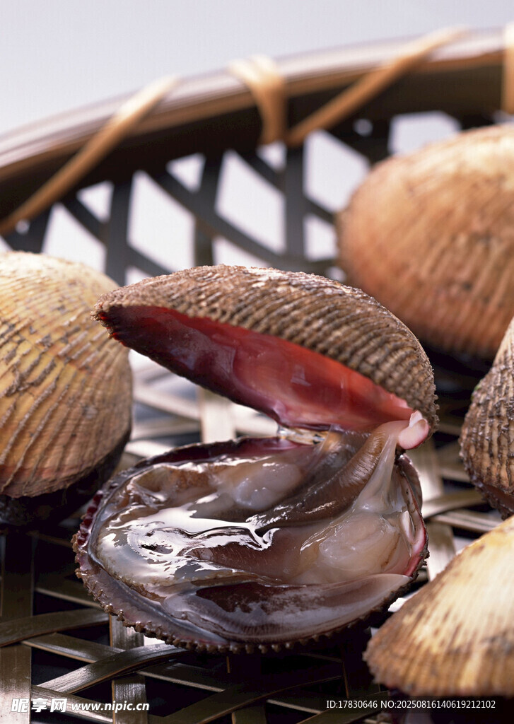 新鮮貝類(lèi)海鮮特寫(xiě)