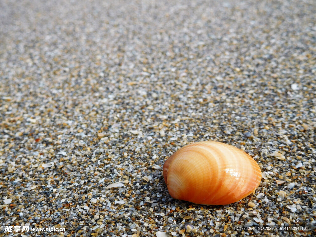 沙灘上的橙色圓潤小物