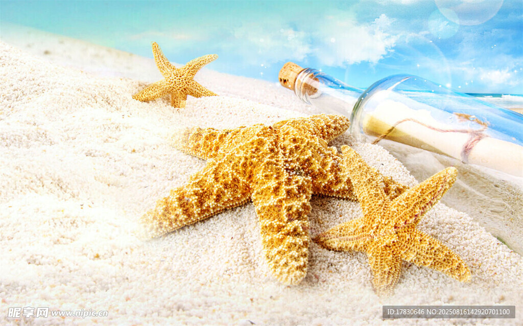 沙灘上的海星與漂流瓶
