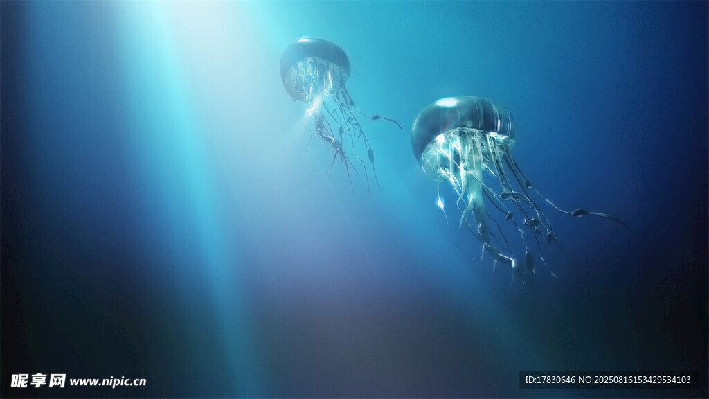 深海潛水員的神秘探索