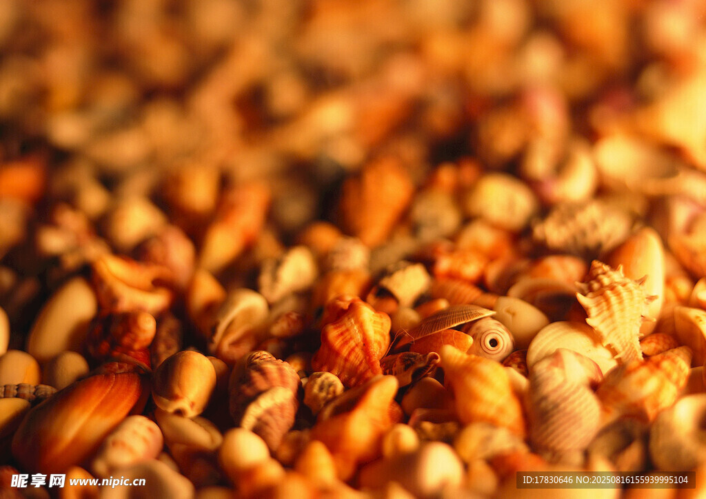 飽滿香脆的美味堅果顆粒