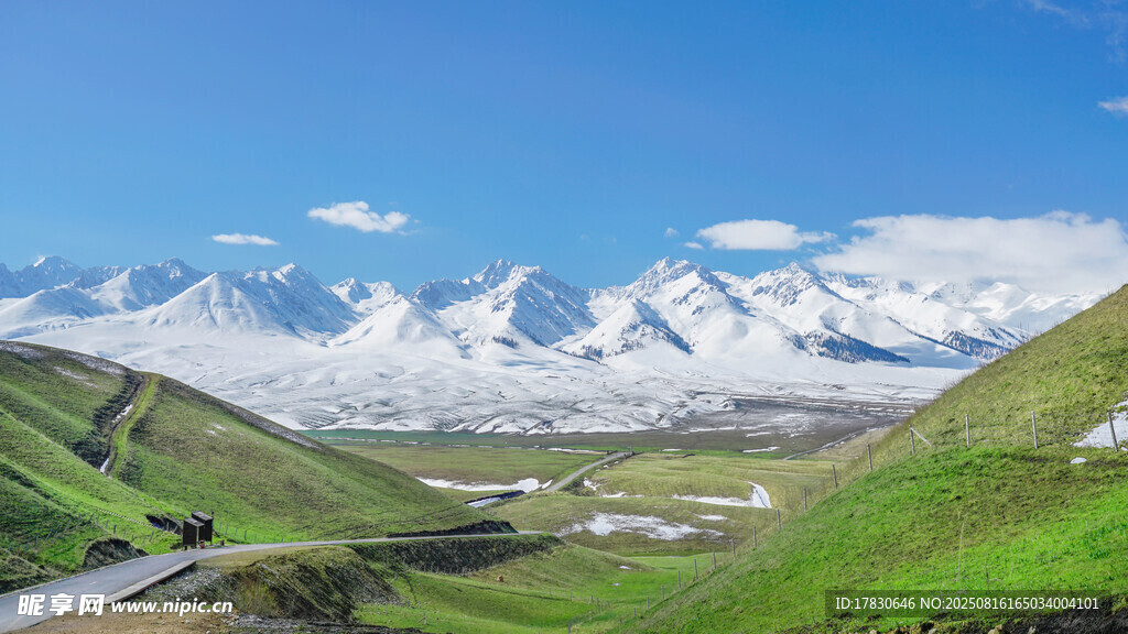 雪山下的綠色山谷美景
