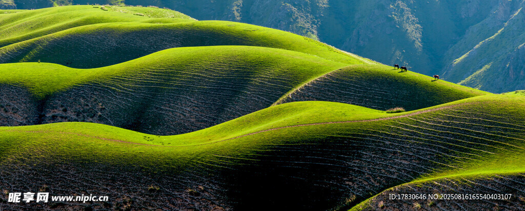 翠綠起伏的壯美山巒景觀