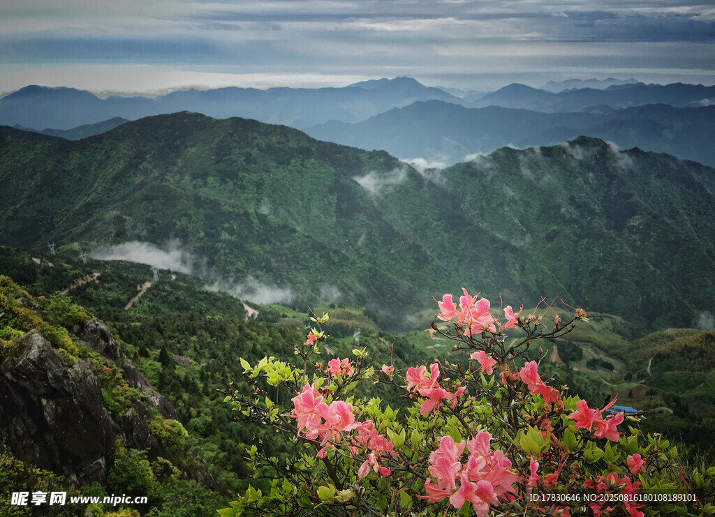 山間繁花映翠色美景