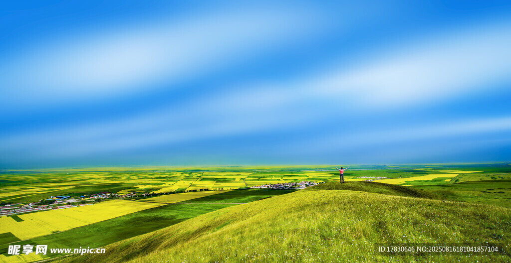廣袤綠野上的藍天美景