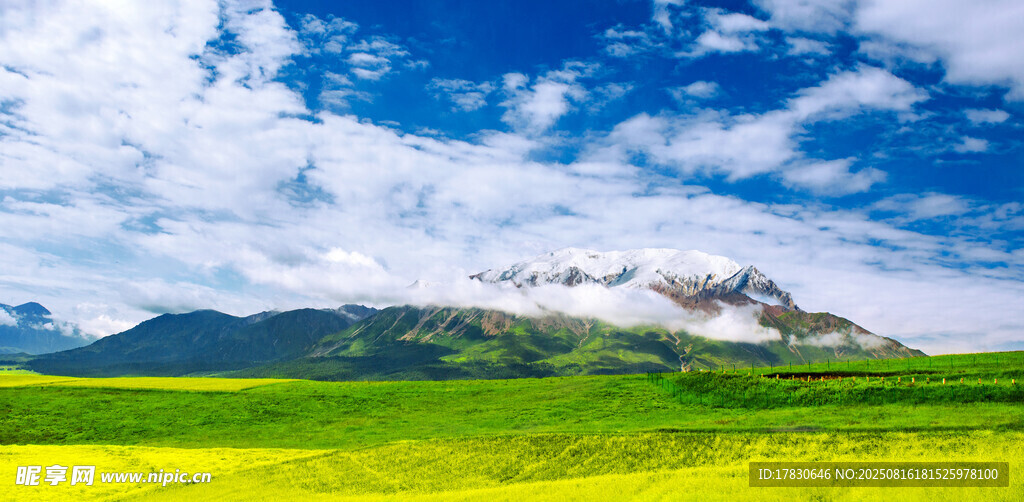 草原藍(lán)天雪山壯美風(fēng)光